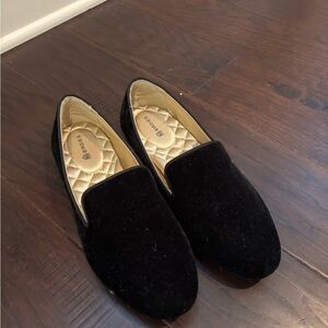 Birdies the Starling Black Velvet Loafers